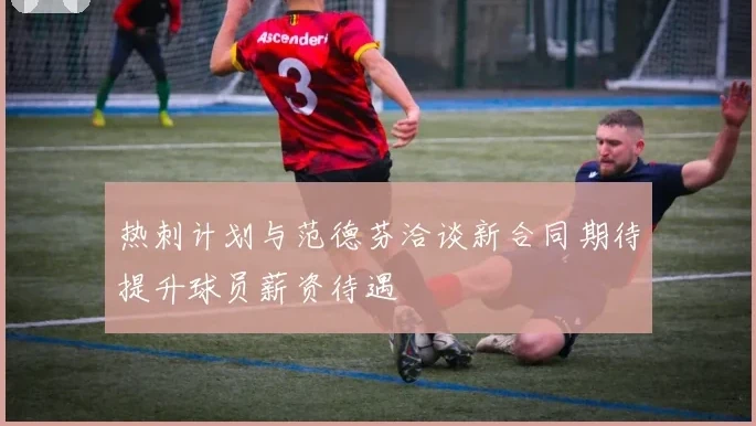 热刺计划与范德芬洽谈新合同期待提升球员薪资待遇